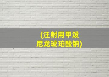 (注射用甲泼尼龙琥珀酸钠)