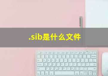 .sib是什么文件