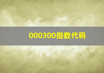 000300指数代码