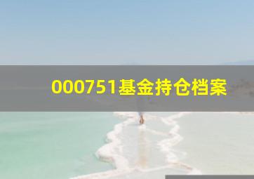 000751基金持仓档案