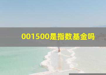 001500是指数基金吗