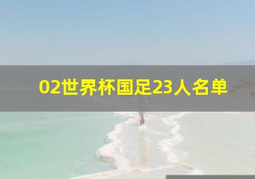 02世界杯国足23人名单