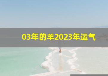 03年的羊2023年运气