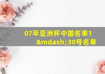 07年亚洲杯中国名单1—30号名单