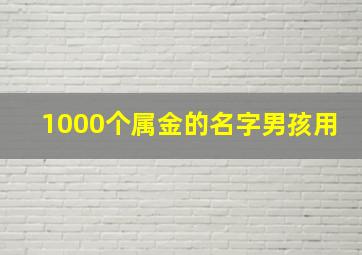 1000个属金的名字男孩用