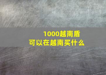 1000越南盾可以在越南买什么