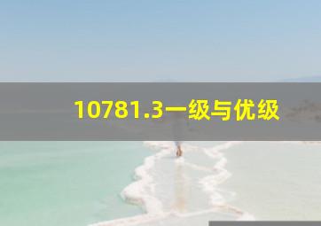 10781.3一级与优级