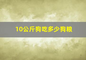 10公斤狗吃多少狗粮