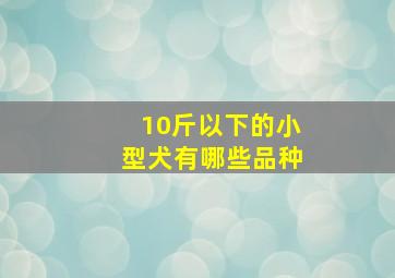 10斤以下的小型犬有哪些品种