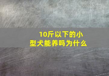 10斤以下的小型犬能养吗为什么