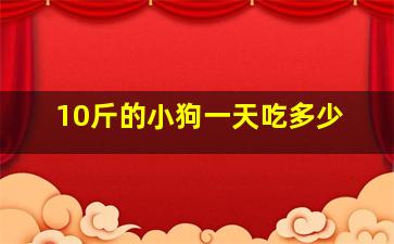 10斤的小狗一天吃多少