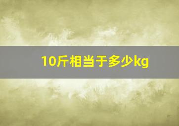 10斤相当于多少kg