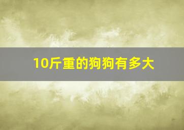 10斤重的狗狗有多大