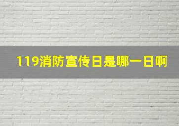 119消防宣传日是哪一日啊