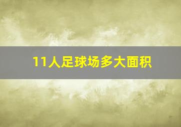 11人足球场多大面积