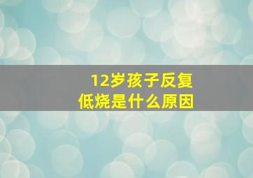 12岁孩子反复低烧是什么原因