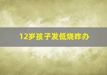 12岁孩子发低烧咋办