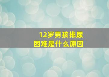 12岁男孩排尿困难是什么原因