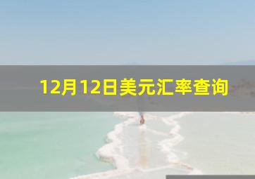 12月12日美元汇率查询