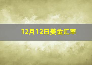 12月12日美金汇率