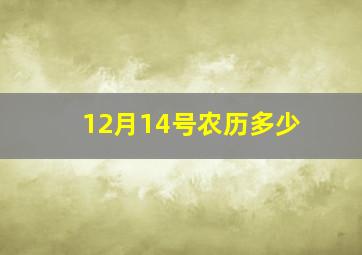 12月14号农历多少