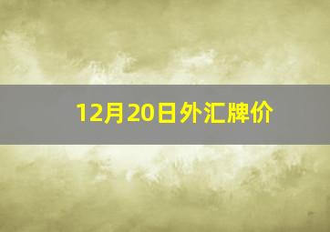 12月20日外汇牌价