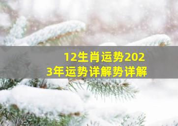 12生肖运势2023年运势详解势详解