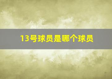 13号球员是哪个球员