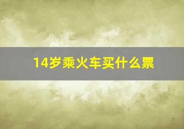 14岁乘火车买什么票