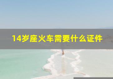 14岁座火车需要什么证件