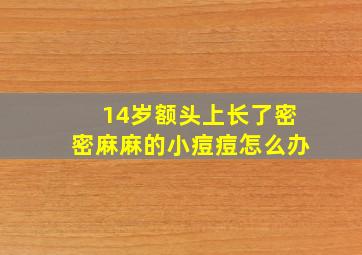 14岁额头上长了密密麻麻的小痘痘怎么办