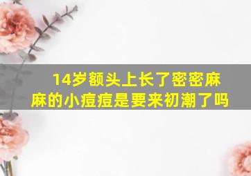 14岁额头上长了密密麻麻的小痘痘是要来初潮了吗