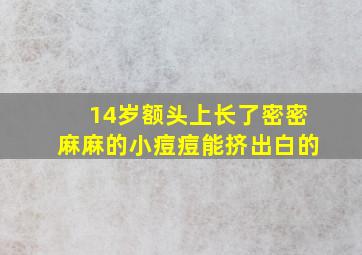 14岁额头上长了密密麻麻的小痘痘能挤出白的