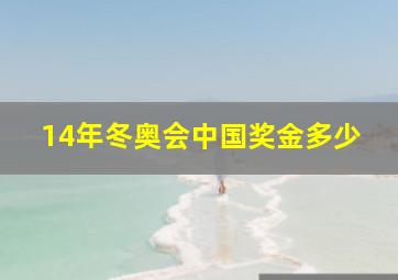 14年冬奥会中国奖金多少