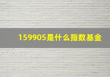 159905是什么指数基金