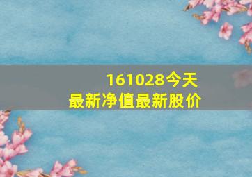 161028今天最新净值最新股价