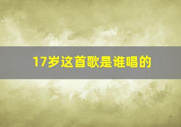 17岁这首歌是谁唱的