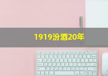 1919汾酒20年