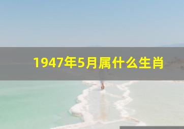 1947年5月属什么生肖