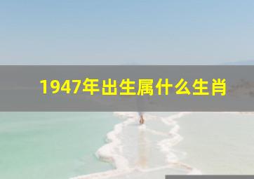 1947年出生属什么生肖