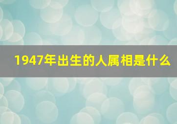 1947年出生的人属相是什么