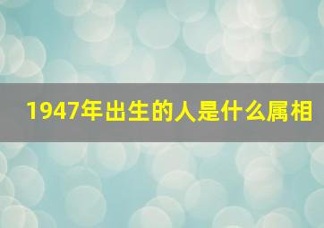 1947年出生的人是什么属相