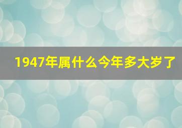 1947年属什么今年多大岁了