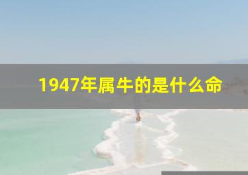 1947年属牛的是什么命