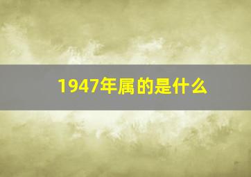 1947年属的是什么