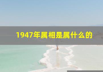 1947年属相是属什么的