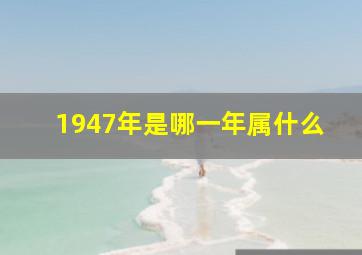 1947年是哪一年属什么