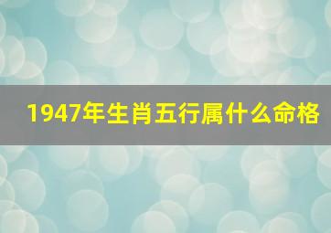 1947年生肖五行属什么命格