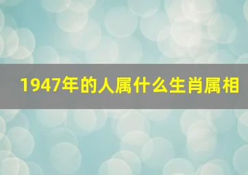 1947年的人属什么生肖属相