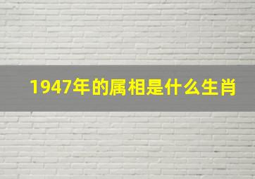 1947年的属相是什么生肖